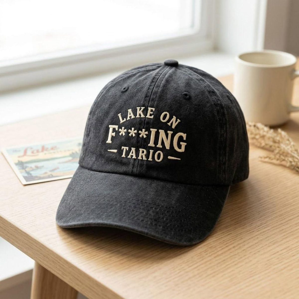 Lake Ontario Embroidered Washed Hat