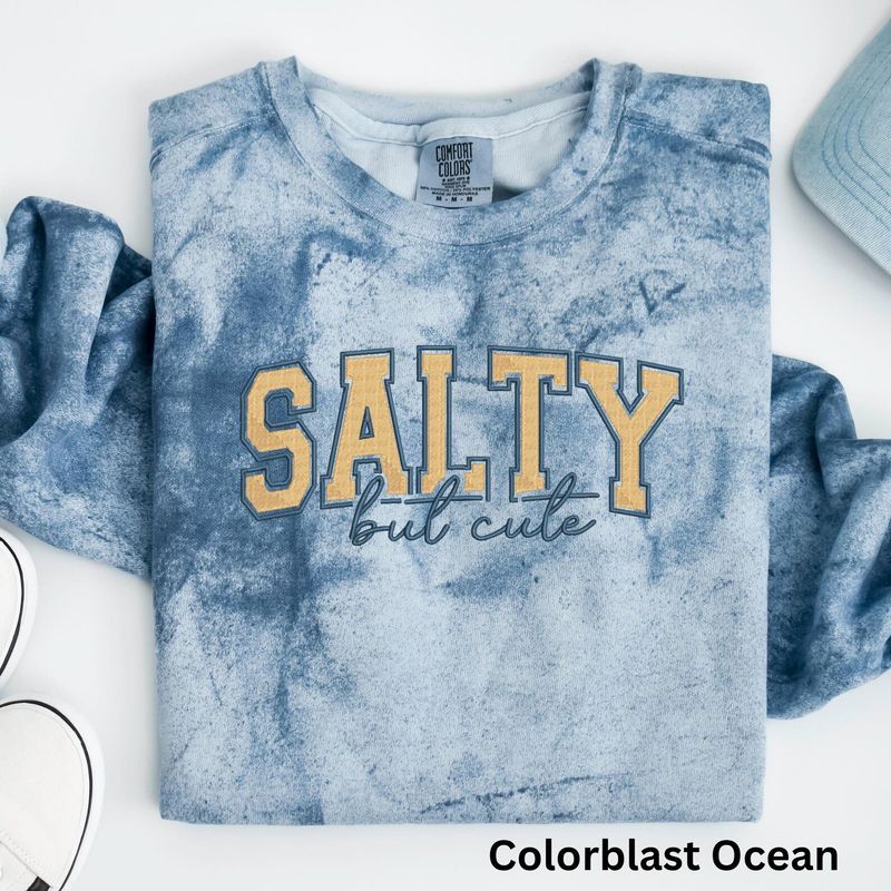 Salty Embroidered Sweatshirt – image 2