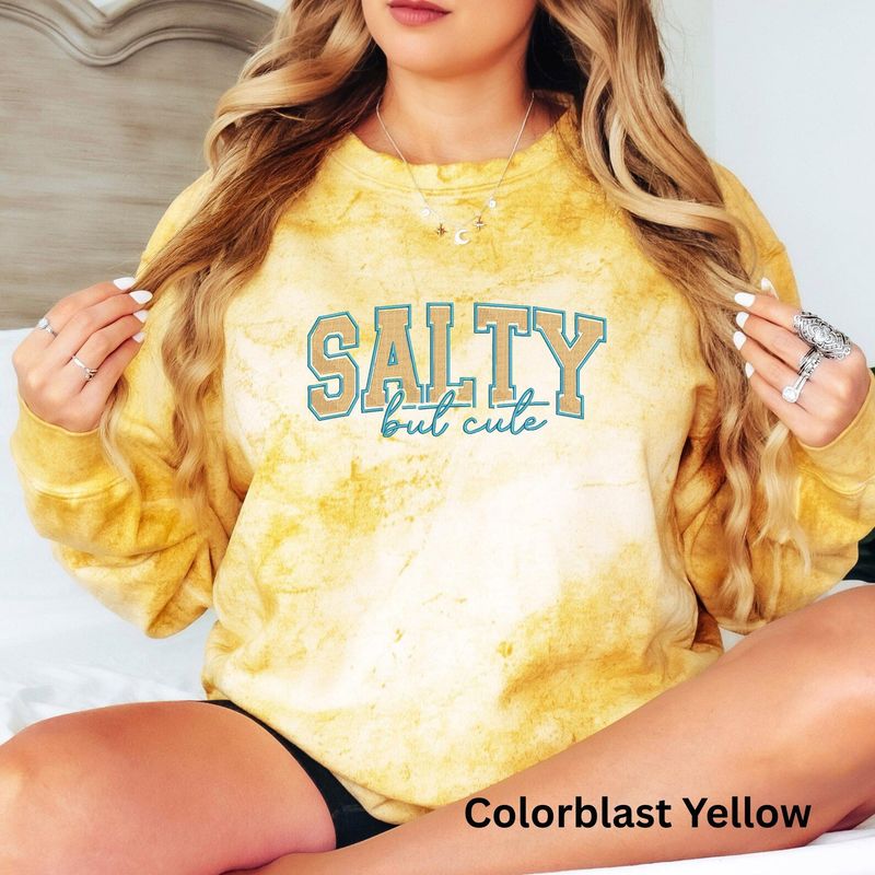 Salty Embroidered Sweatshirt – image 3
