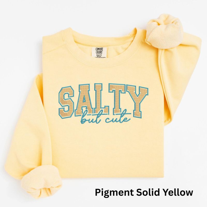 Salty Embroidered Sweatshirt – image 4