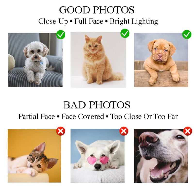 Custom Beach Bag With Pet Portrait – image 13