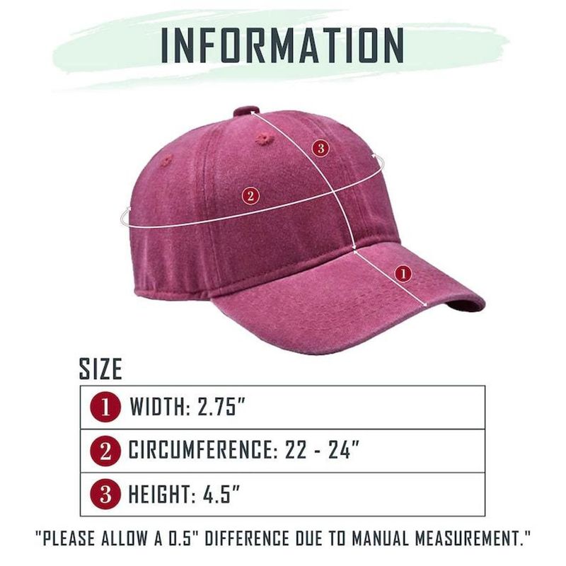 Lake Ontario Embroidered Washed Hat – image 3